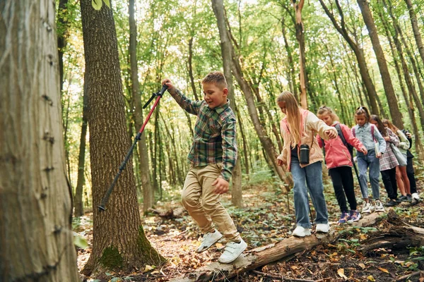 Caminhando Sobre Tronco Crianças Floresta Verde Durante Dia Verão Juntas — Fotografia de Stock