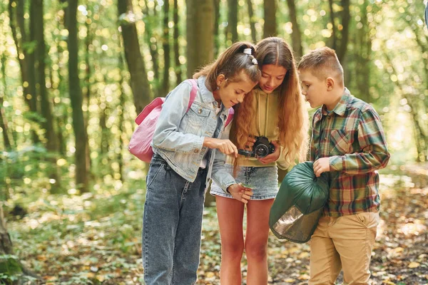 Jag Tar Promenad Barn Grön Skog Sommaren Dagtid Tillsammans — Stockfoto