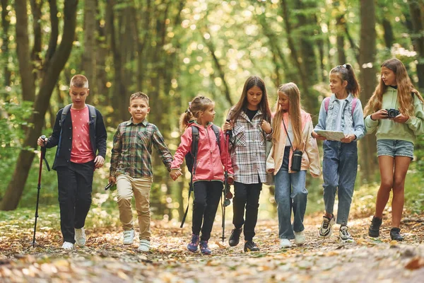 Grön Skog Barn Som Tar Promenad Utomhus Sommaren Dagtid Tillsammans — Stockfoto