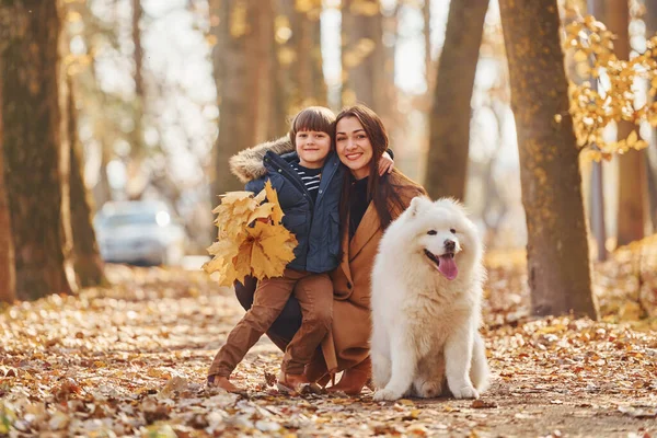 Zonder Schattige Hond Moeder Met Haar Zoon Het Hebben Van — Stockfoto