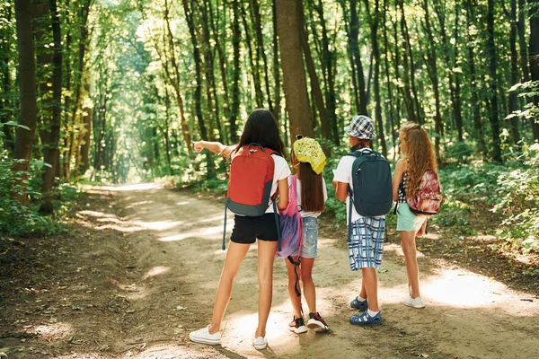 Weekend Estivo Bambini Che Passeggiano Nella Foresta Con Attrezzatura Viaggio — Foto Stock