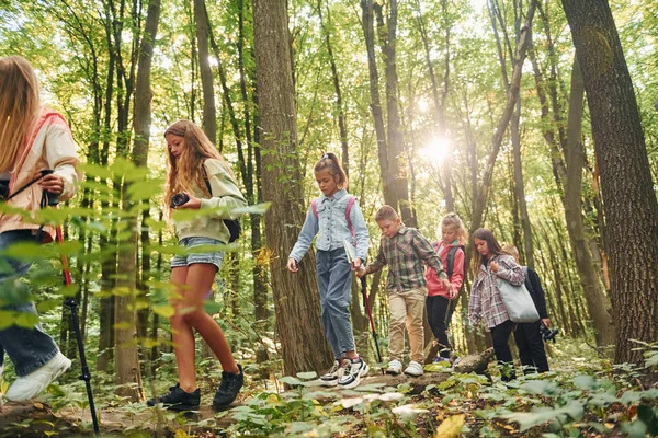 Går Tillsammans Barn Grön Skog Sommaren Dagtid Tillsammans — Stockfoto