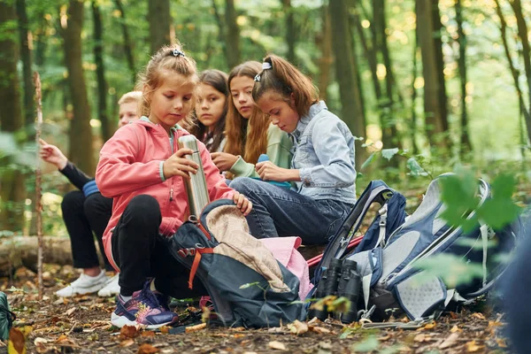 Oturup Dinleniyorum Yeşil Ormandaki Çocuklar Yaz Gündüz Beraber — Stok fotoğraf