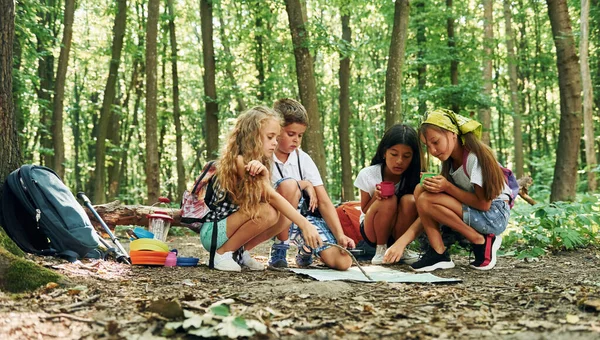 坐在地上 孩子们带着旅行器材在森林里散步 — 图库照片
