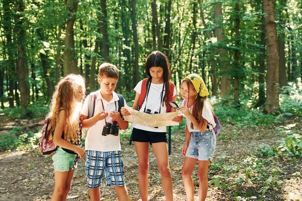 用地图来找到一条路孩子们带着旅行器材在森林里散步 — 图库照片