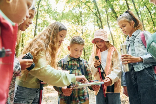 Med Hjälp Karta Barn Grön Skog Sommaren Dagtid Tillsammans — Stockfoto