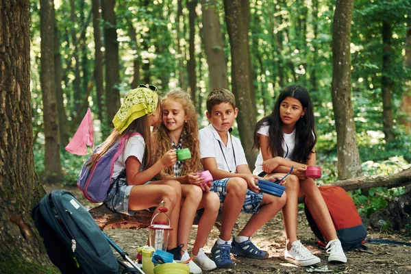 Sentado Acampamento Crianças Passeando Floresta Com Equipamentos Viagem — Fotografia de Stock