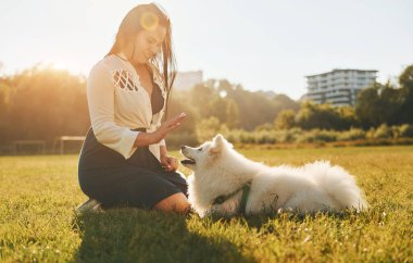 Yan görüş. Köpeğiyle bir kadın güneşli bir günde sahada eğleniyor..