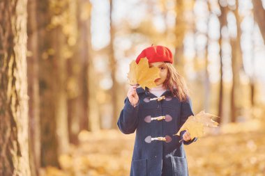 Sarı yapraklar. Tatlı pozitif küçük kız sonbahar parkında iyi eğlenceler..