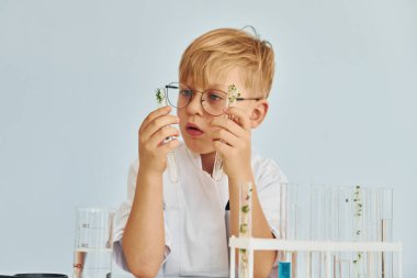 Test tüpleri kullanıyor. Palto giyen küçük çocuk laboratuarda ekipman kullanarak bilim adamı rolü oynuyor..