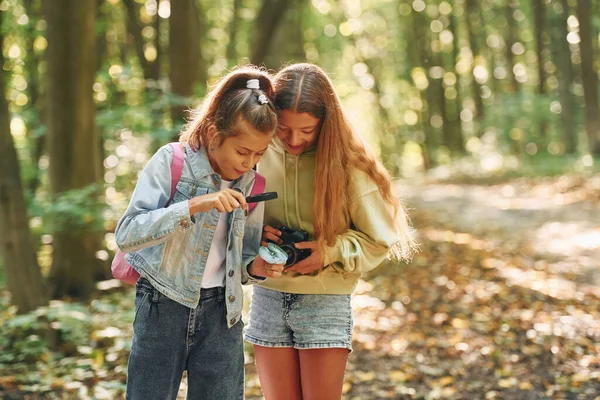 Två Flickor Grön Skog Sommaren Dagtid Tillsammans — Stockfoto