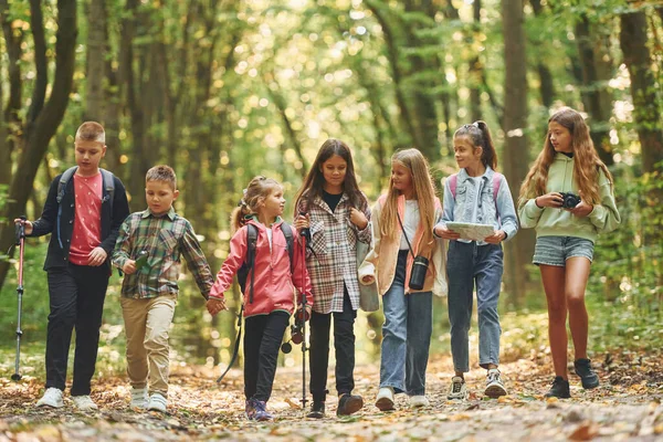 Dans Forêt Verte Enfants Faisant Une Promenade Extérieur Pendant Journée — Photo