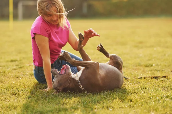 Bawię Się Ziemi Kobieta Ubraniu Casual Jest Pit Bull Zewnątrz — Zdjęcie stockowe