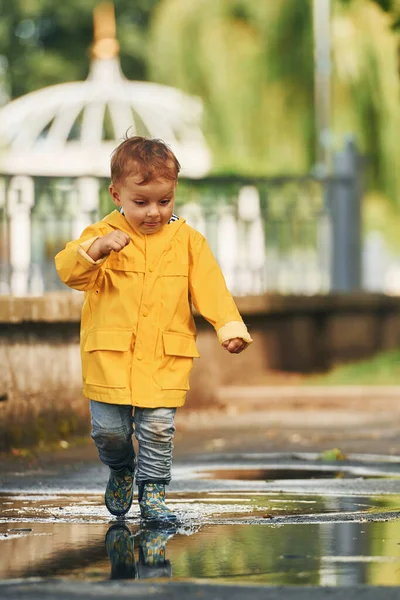 Little Boy Yellow Coat Have Walk Outdoors Park Rain — Stock Photo, Image