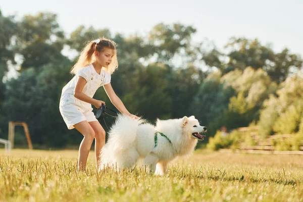 Promenad Liten Flicka Med Sin Hund Har Kul Planen Solig — Stockfoto