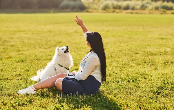 女は彼女のかわいい犬と一緒にフィールドの地面に座っている — ストック写真