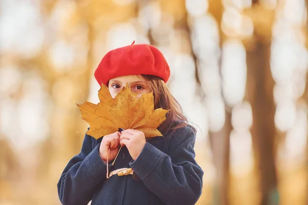 Cute Positive Little Girl Have Fun Autumn Park — Stock Photo, Image