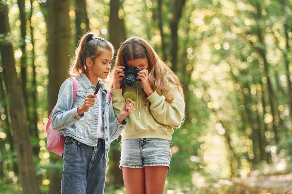 Två Vänner Barn Grön Skog Sommaren Dagtid Tillsammans — Stockfoto