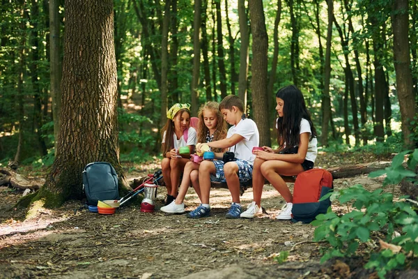 Fazer Uma Pausa Crianças Passeando Floresta Com Equipamentos Viagem — Fotografia de Stock