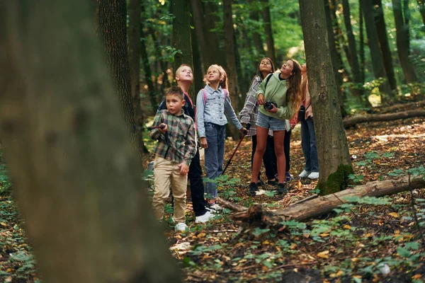 Sprzętem Turystycznym Dzieci Zielonym Lesie Letni Dzień Razem — Zdjęcie stockowe