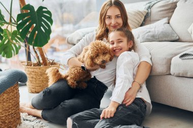 Anne ve kızı köpekle oynuyorlar. Şirin köpek yavrusu modern evcil odada..