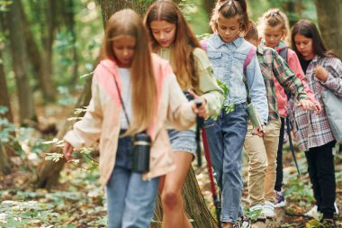 Yeni bir yolda yürüyorum. Yeşil ormandaki çocuklar yaz gündüz beraber..