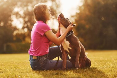 Köpeği kucaklamak. Gündelik elbiseli bir kadın pitbull 'la dışarıda..
