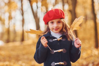 Yaprakları elinde tutarak. Tatlı pozitif küçük kız sonbahar parkında iyi eğlenceler..