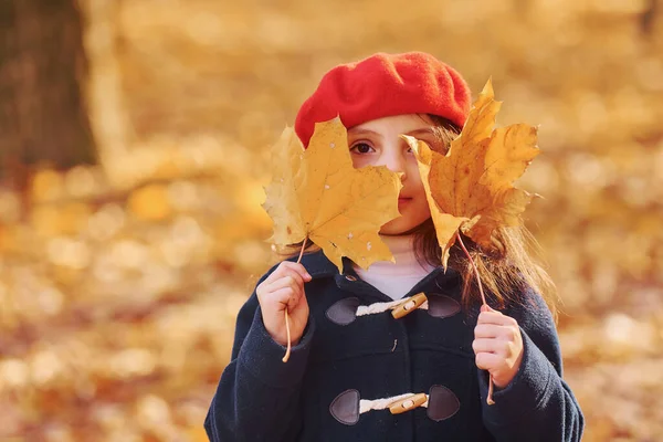 Gelbe Blätter Nettes Positives Kleines Mädchen Hat Spaß Herbstpark — Stockfoto