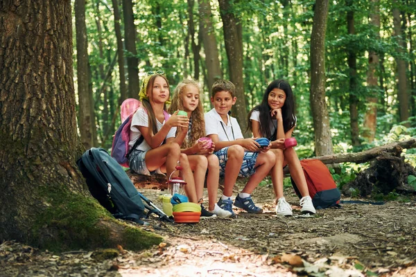 Assis Dans Camp Promenade Des Enfants Dans Forêt Avec Équipement — Photo
