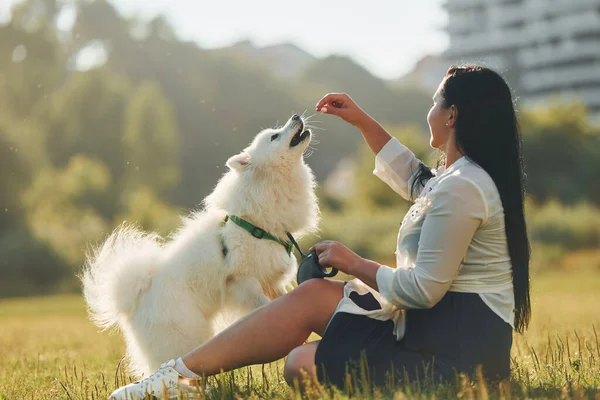 Fazer Alguns Truques Mulher Com Seu Cão Está Divertindo Campo — Fotografia de Stock