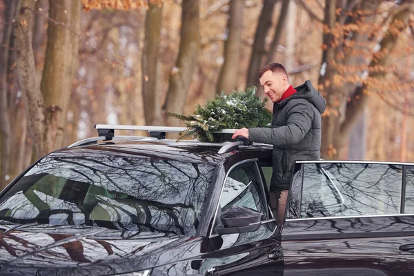 In the forest. Man with little green fir is outdoors near his car. Conception of holidays.