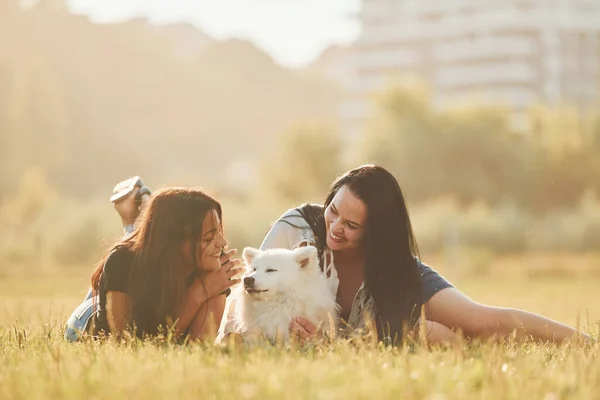 Två Kvinnor Med Hund Har Roligt Planen Solig Dag — Stockfoto