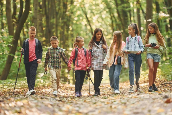 Caminhando Juntos Crianças Floresta Verde Durante Dia Verão — Fotografia de Stock