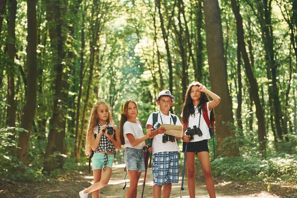 Activités Week End Promenade Des Enfants Dans Forêt Avec Équipement — Photo