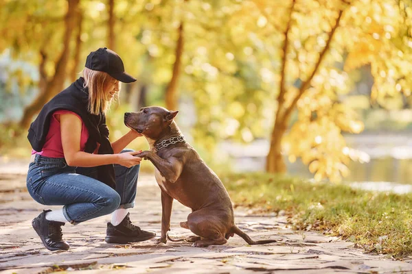 Idę Spacer Kobieta Ubraniu Casual Jest Pit Bull Zewnątrz — Zdjęcie stockowe