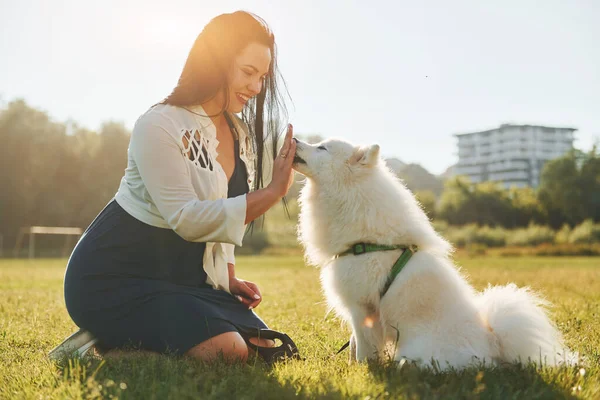 Vista Lateral Mulher Com Seu Cão Está Divertindo Campo Dia — Fotografia de Stock