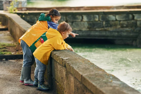 Nehre Bakıyorum Çocuklar Yağmurdan Sonra Parkta Eğleniyorlar — Stok fotoğraf