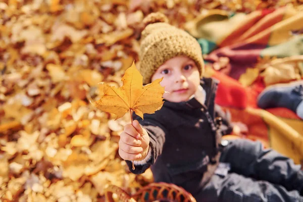 Little Boy His Sister Sitting Ground Autumn Park — Stock Photo, Image