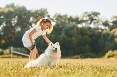 Yaz tatili aktiviteleri. Küçük kız köpeğiyle güneşli bir günde sahada eğleniyor..
