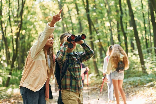 新地方夏天的白天 孩子们一起在绿林里 — 图库照片