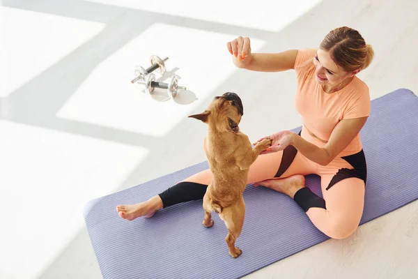 Tapete Fitness Mulher Com Cão Pug Está Casa Durante Dia — Fotografia de Stock