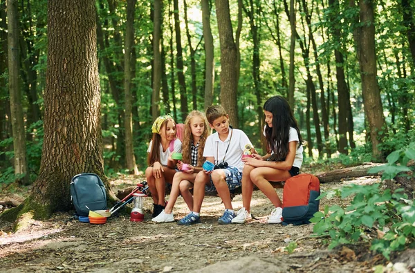 休息一下吧孩子们带着旅行器材在森林里散步 — 图库照片