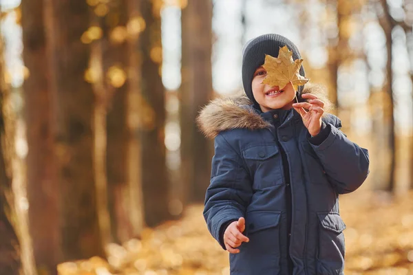 Cheerful Young Boy Having Fun Walk Autumn Forest — Stock Photo, Image