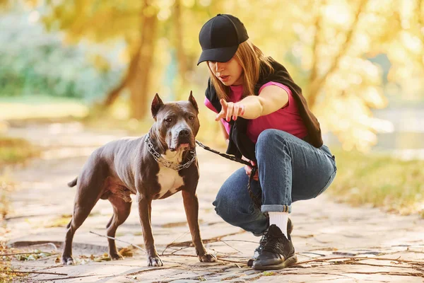 Playing Together Woman Casual Clothes Pit Bull Outdoors — Stock Photo, Image