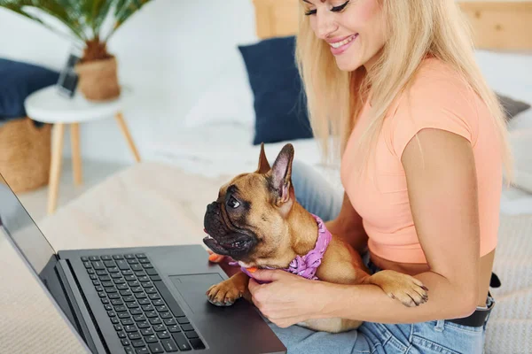 Using laptop. Woman with pug dog is at home at daytime.