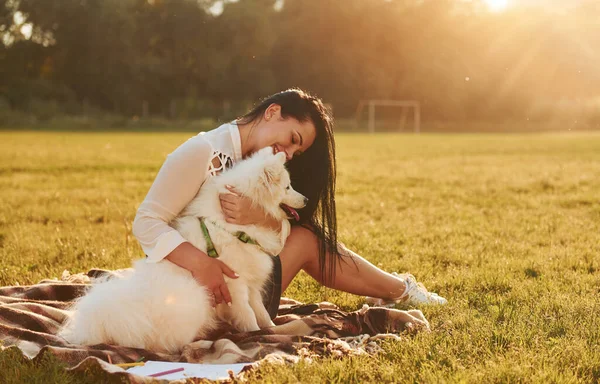 Mulher Com Seu Cão Está Divertindo Campo Durante Dia Ensolarado — Fotografia de Stock