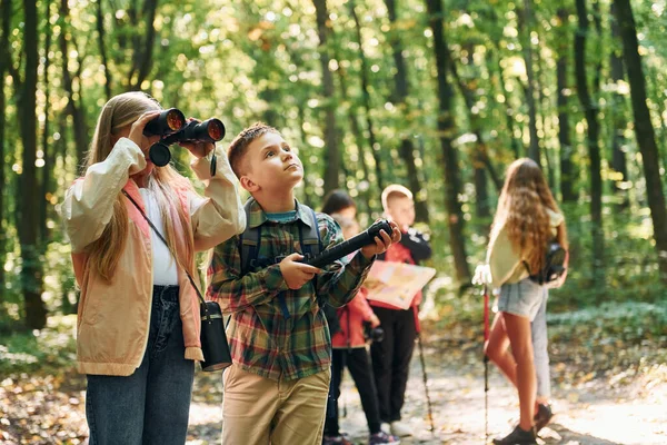 Nouveaux Endroits Enfants Dans Forêt Verte Pendant Journée Été Ensemble — Photo