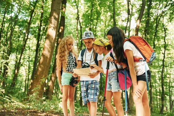 Fim Semana Verão Crianças Passeando Floresta Com Equipamentos Viagem — Fotografia de Stock