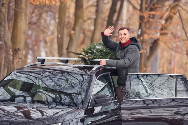 In the forest. Man with little green fir is outdoors near his car. Conception of holidays.